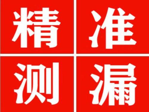 靖宇尚嘉漏水精准查找